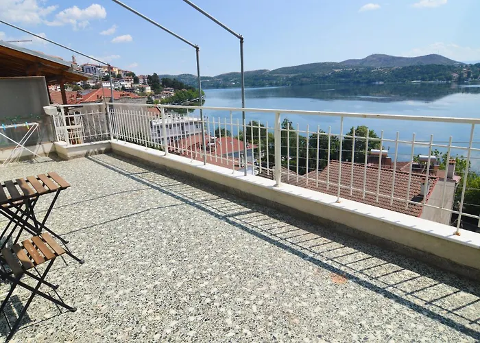 Leonidas' Privileged קסטוריה