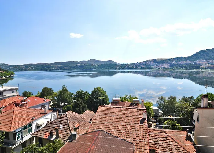 Leonidas' Privileged * קסטוריה