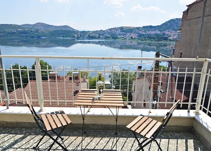 Leonidas' Privileged דירה קסטוריה